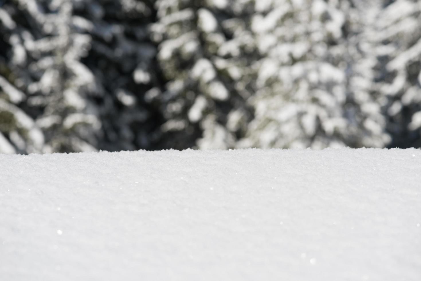 paysage d'hiver photo