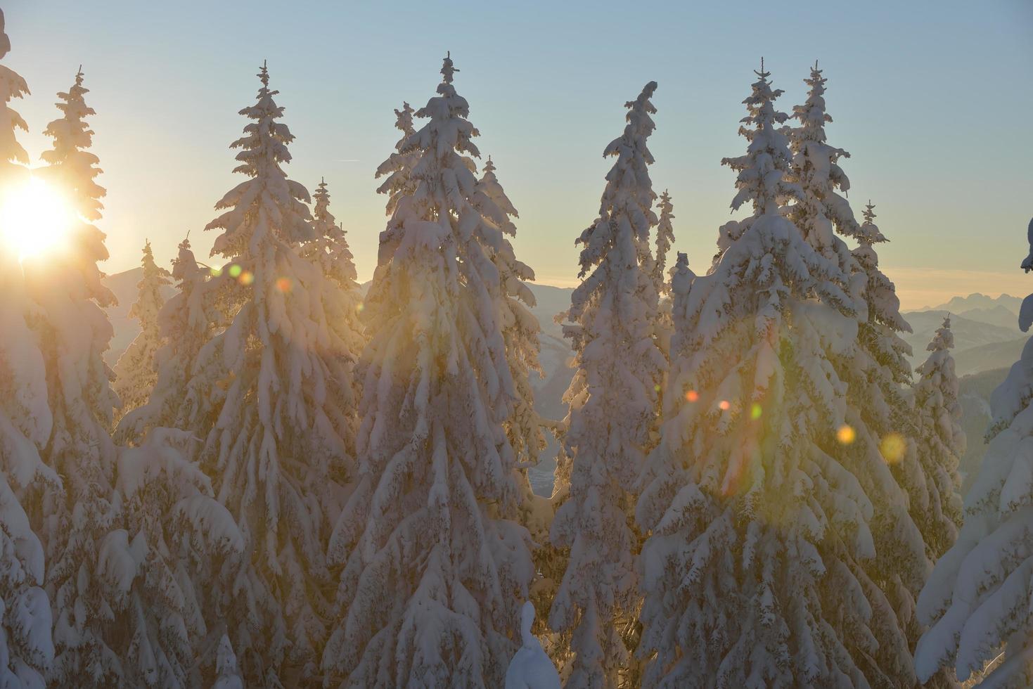 paysage de montagne d'hiver photo