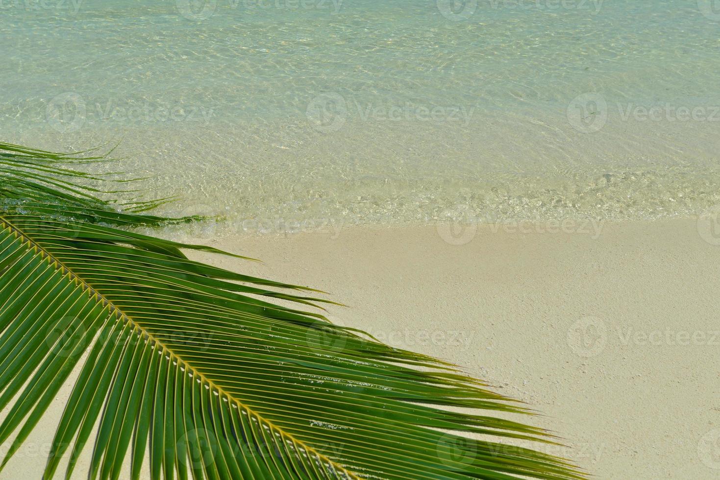 vue sur la plage tropicale photo