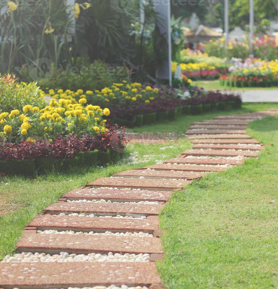 petit parc et promenade photo