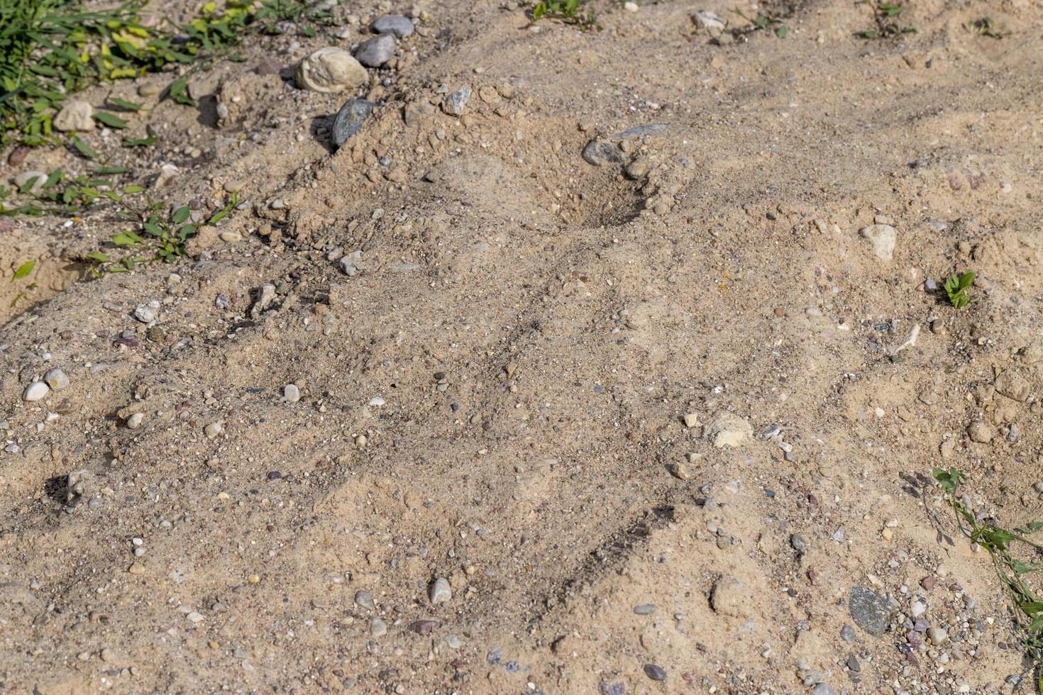 sable de rivière utilisé dans les travaux de construction photo