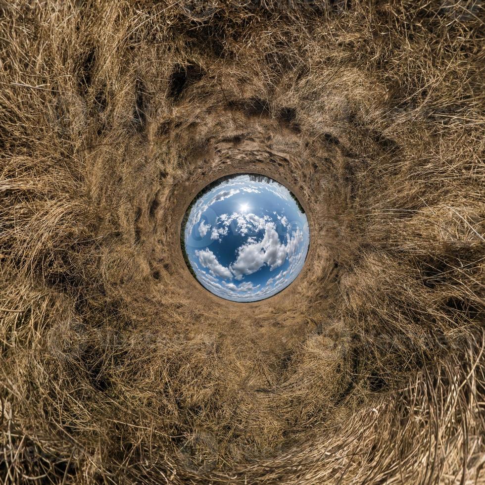 sphère bleue petite planète à l'intérieur de l'arrière-plan du cadre rond de l'herbe verte. photo