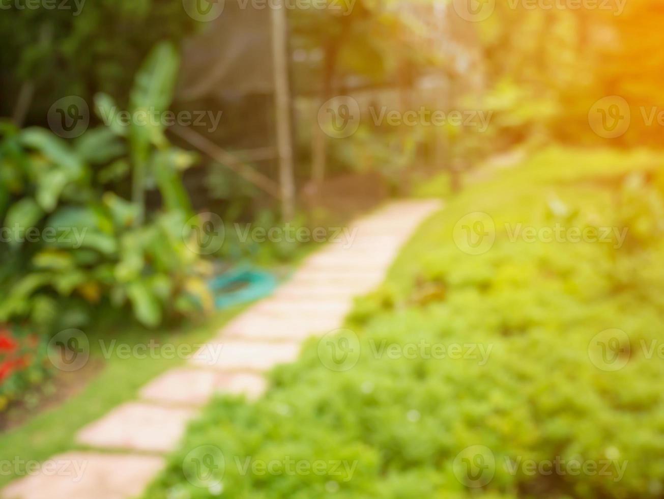 passerelle dans le jardin de fleurs arrière-plan flou photo