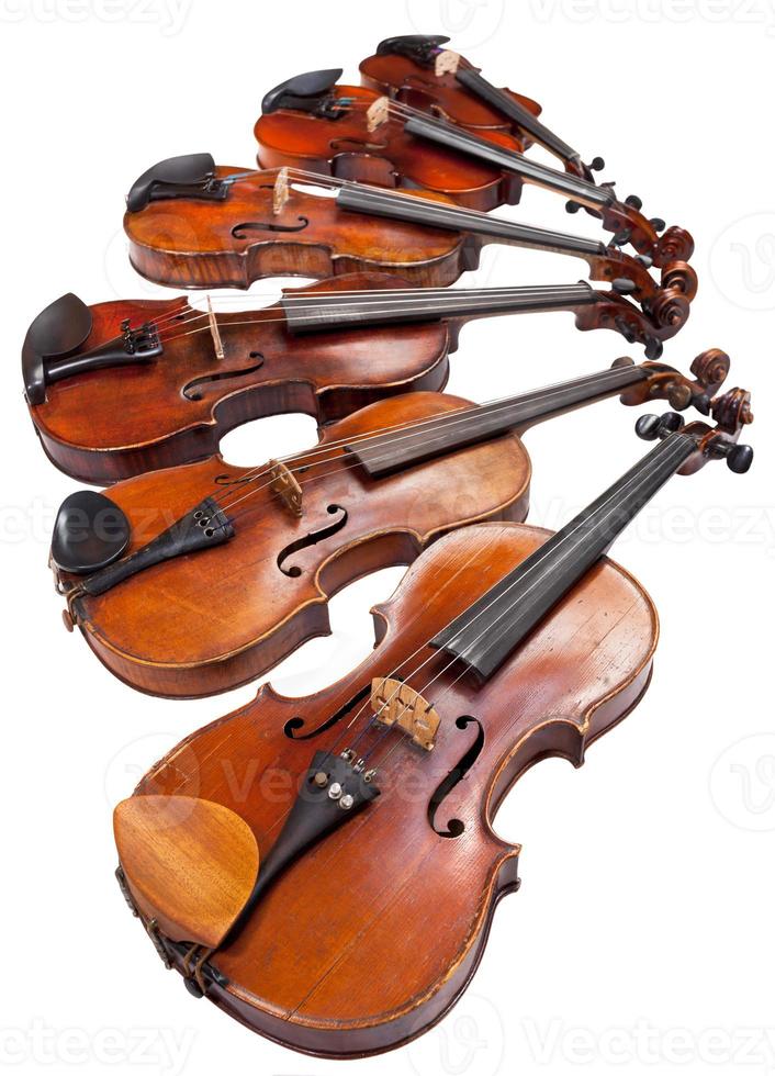 violons de différentes tailles se bouchent photo