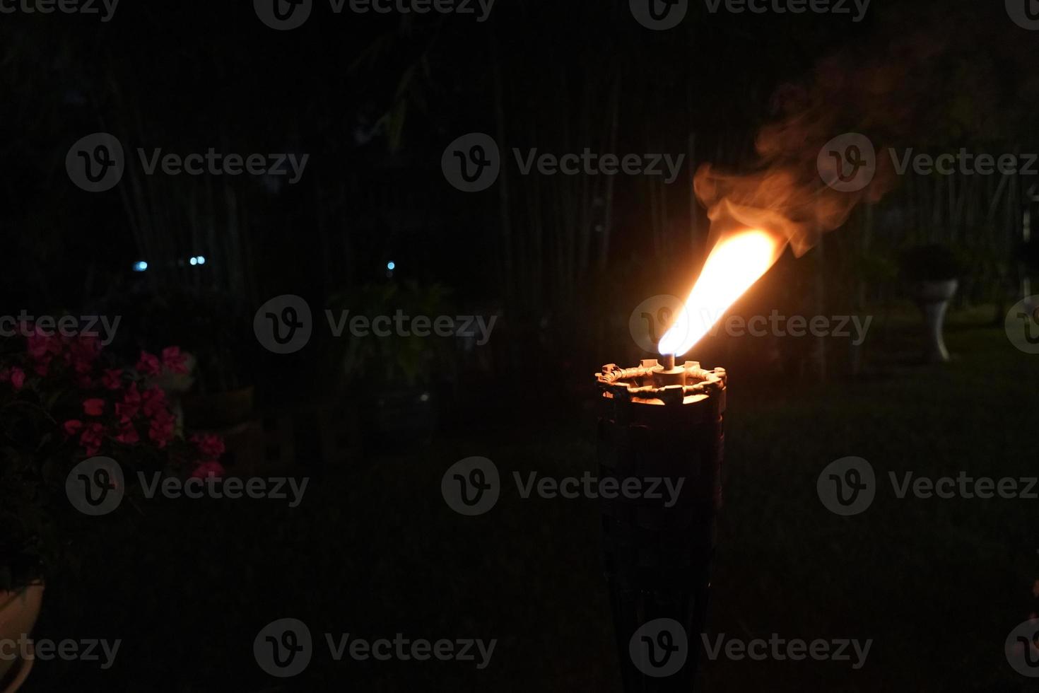 fermer la torche et le feu dans le jardin de nuit. photo