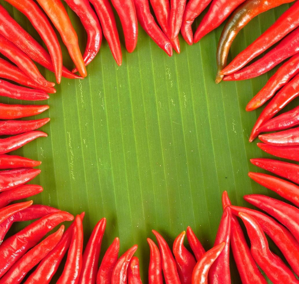 piment rouge chaud disposé en cercle sur une feuille de bananier photo