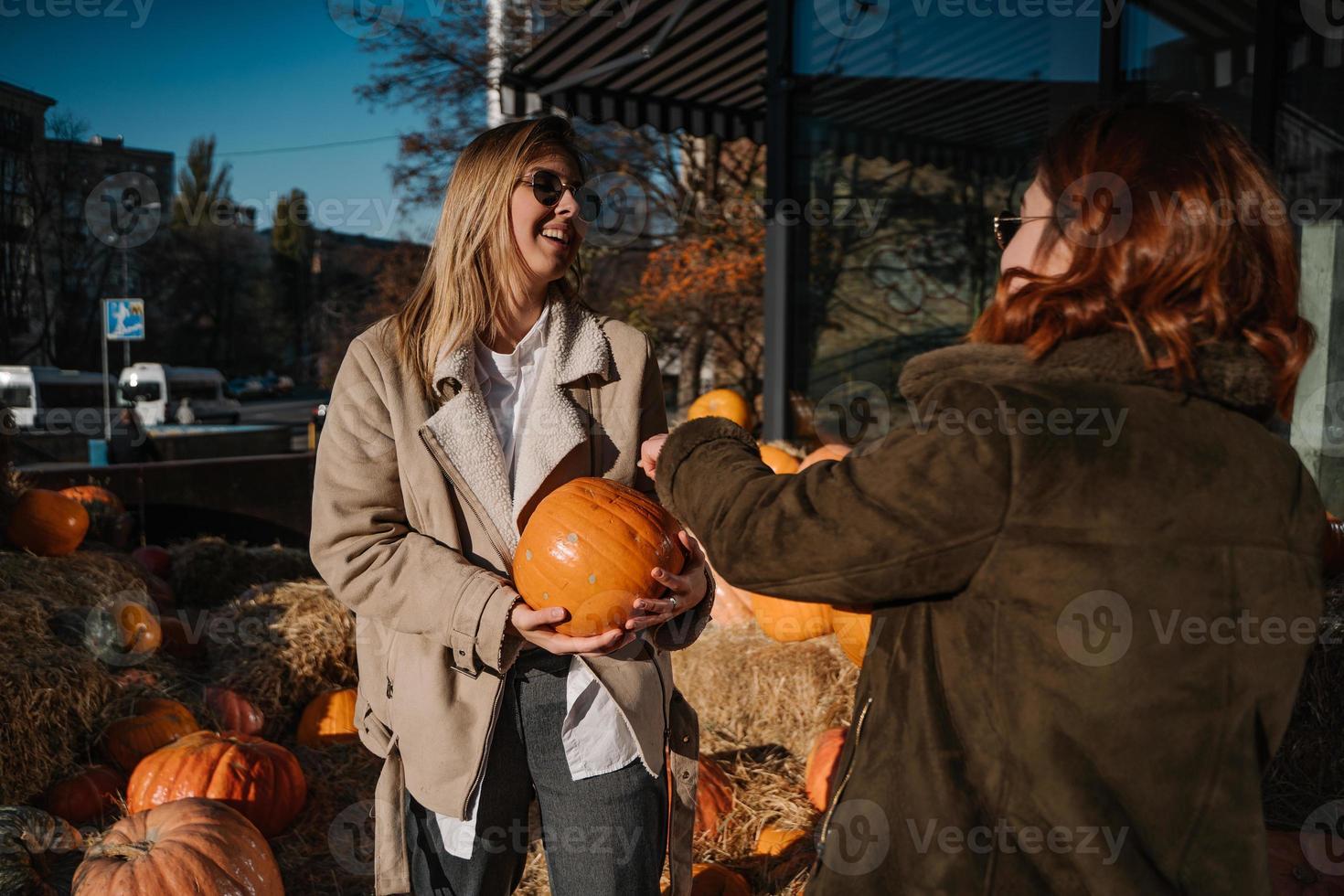 les filles tiennent des citrouilles dans les mains. photos en extérieur.