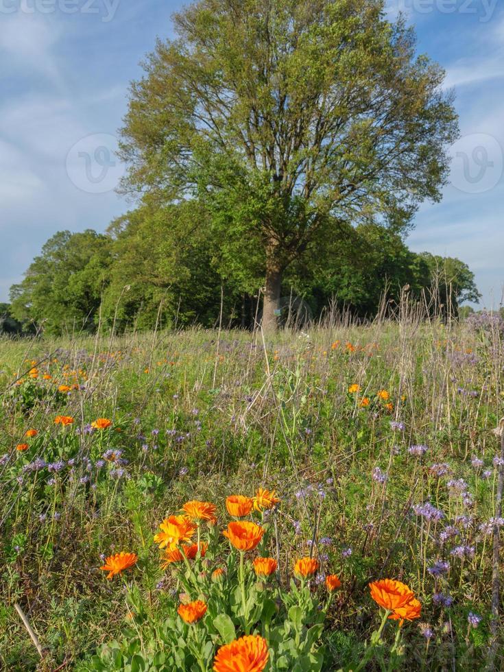 heure d'été en westphalie photo