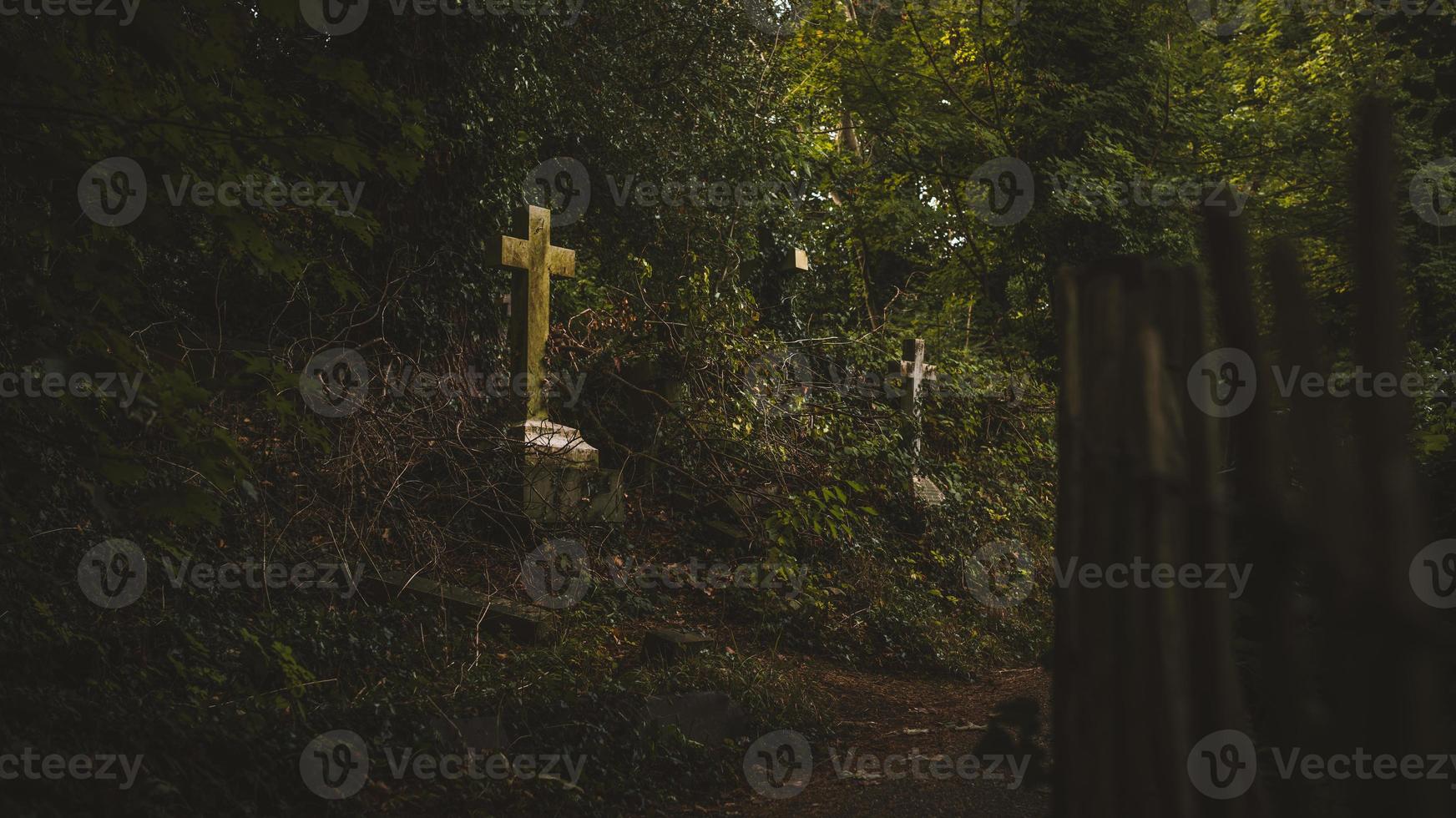 pierres tombales dans le cimetière, cimetière d'arnos vale photo