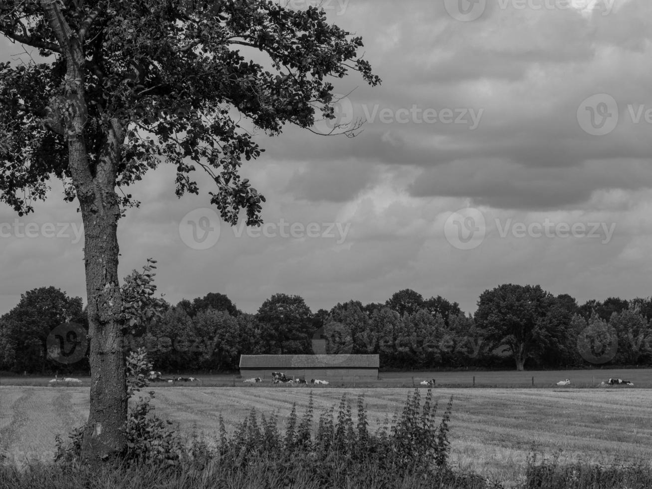 randonnée en westphalie allemande photo