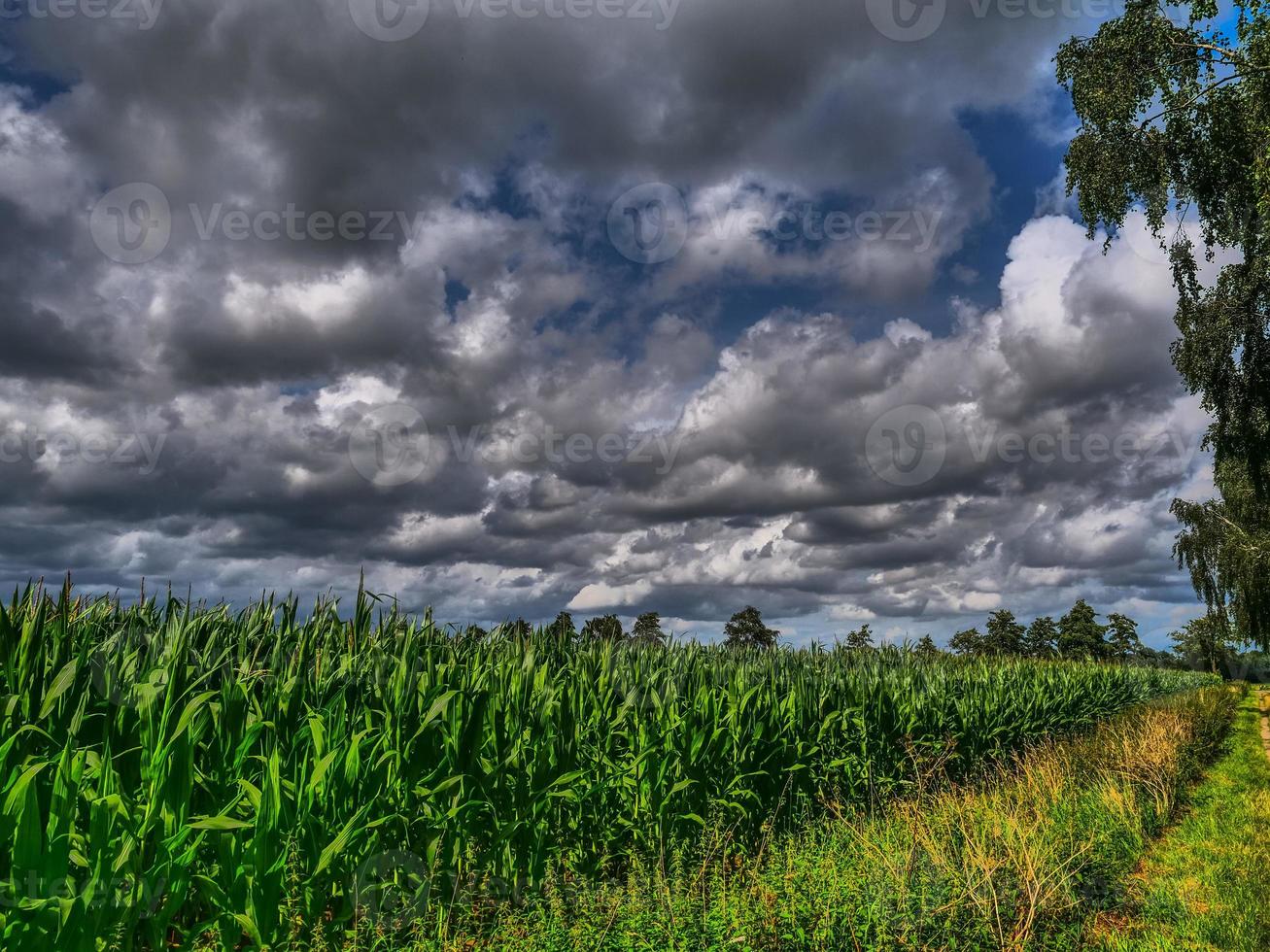 l'heure d'été au village allemand weseke photo