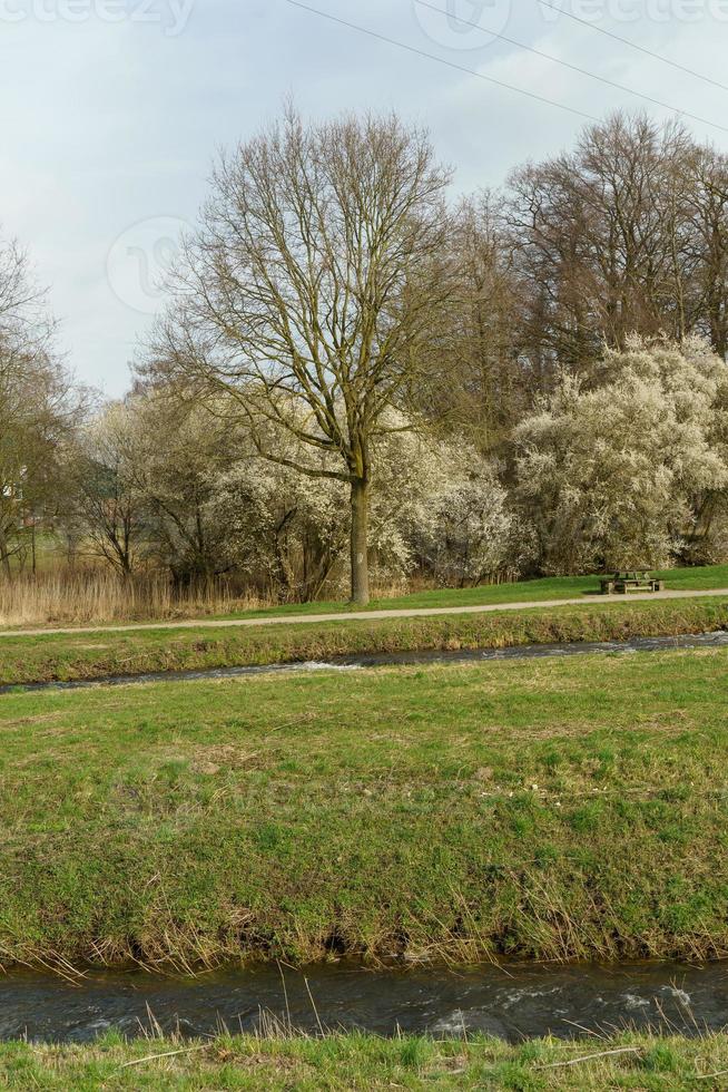 la rivière aa en westphalie photo