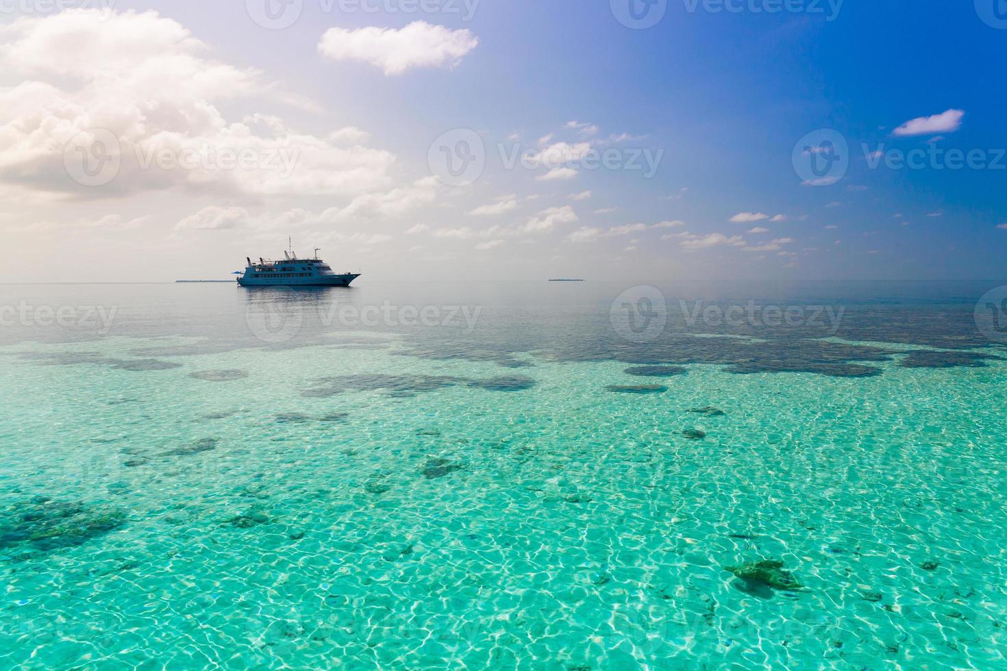 maldives, fond de mer tropicale! photo