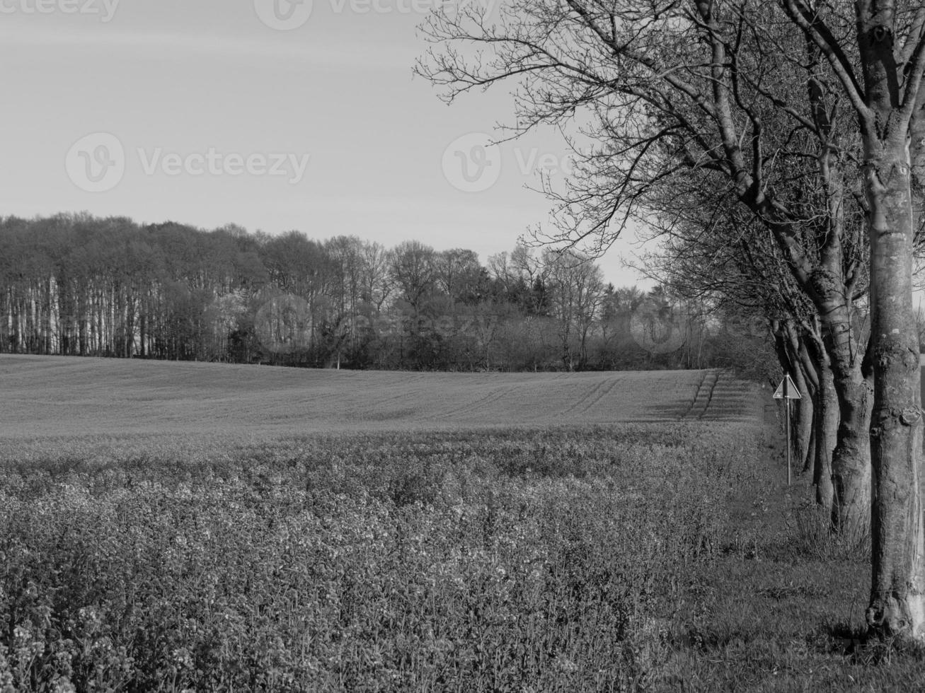 paysage westphalien près de billerbeck photo