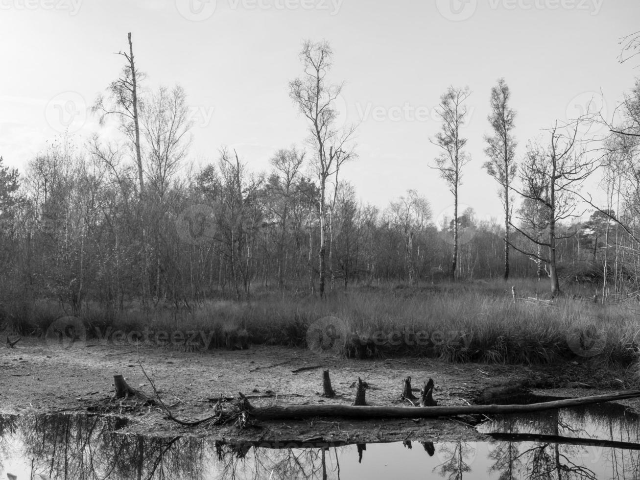 westphalie en allemagne photo