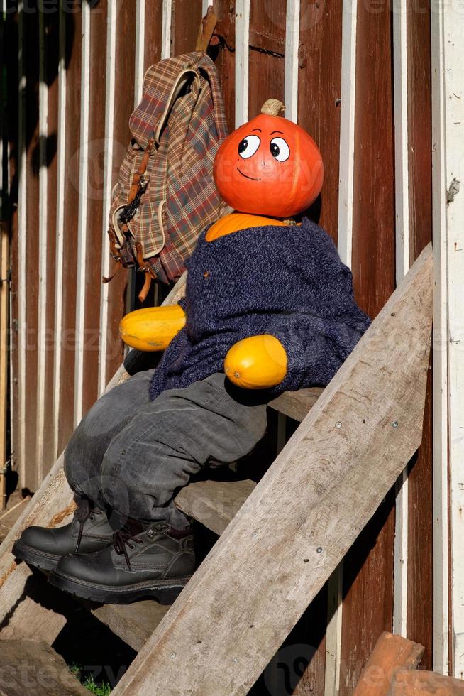 beaucoup de citrouilles oranges photo