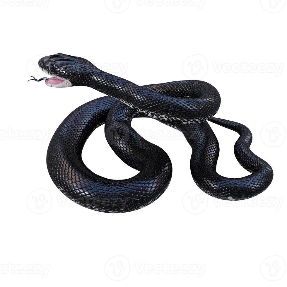 illustration 3d de serpent de rat noir. photo