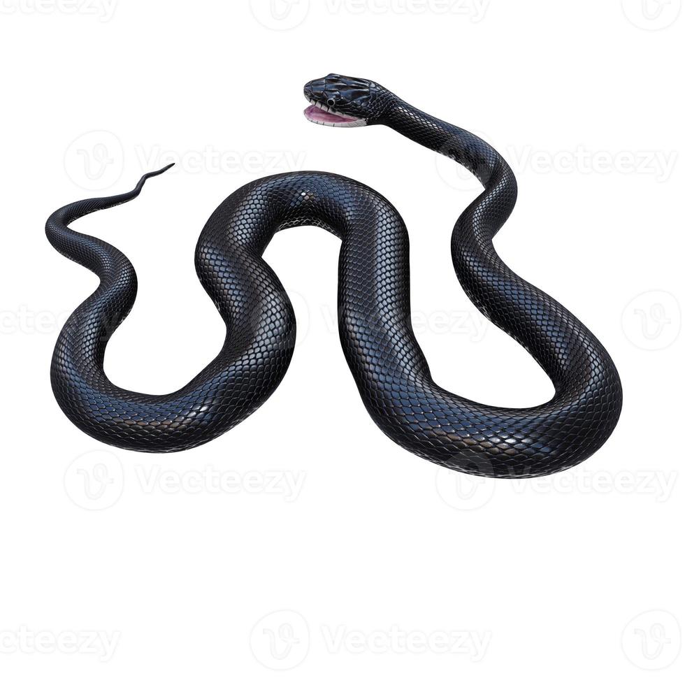 illustration 3d de serpent de rat noir. photo