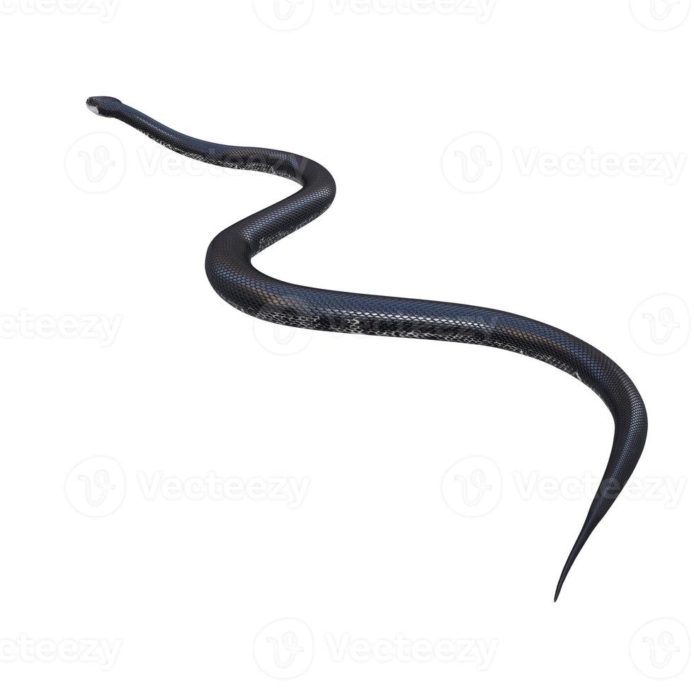 illustration 3d de serpent de rat noir. photo