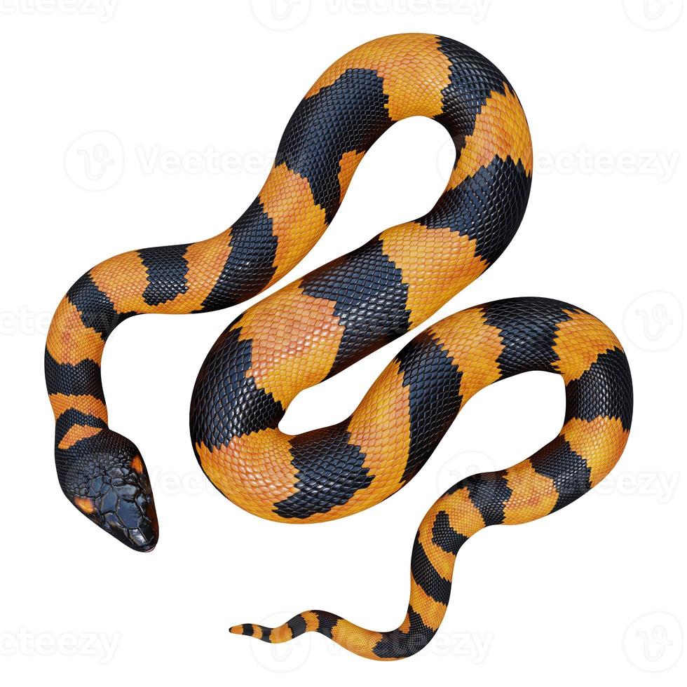illustration 3d de python annelé de bismarck. photo