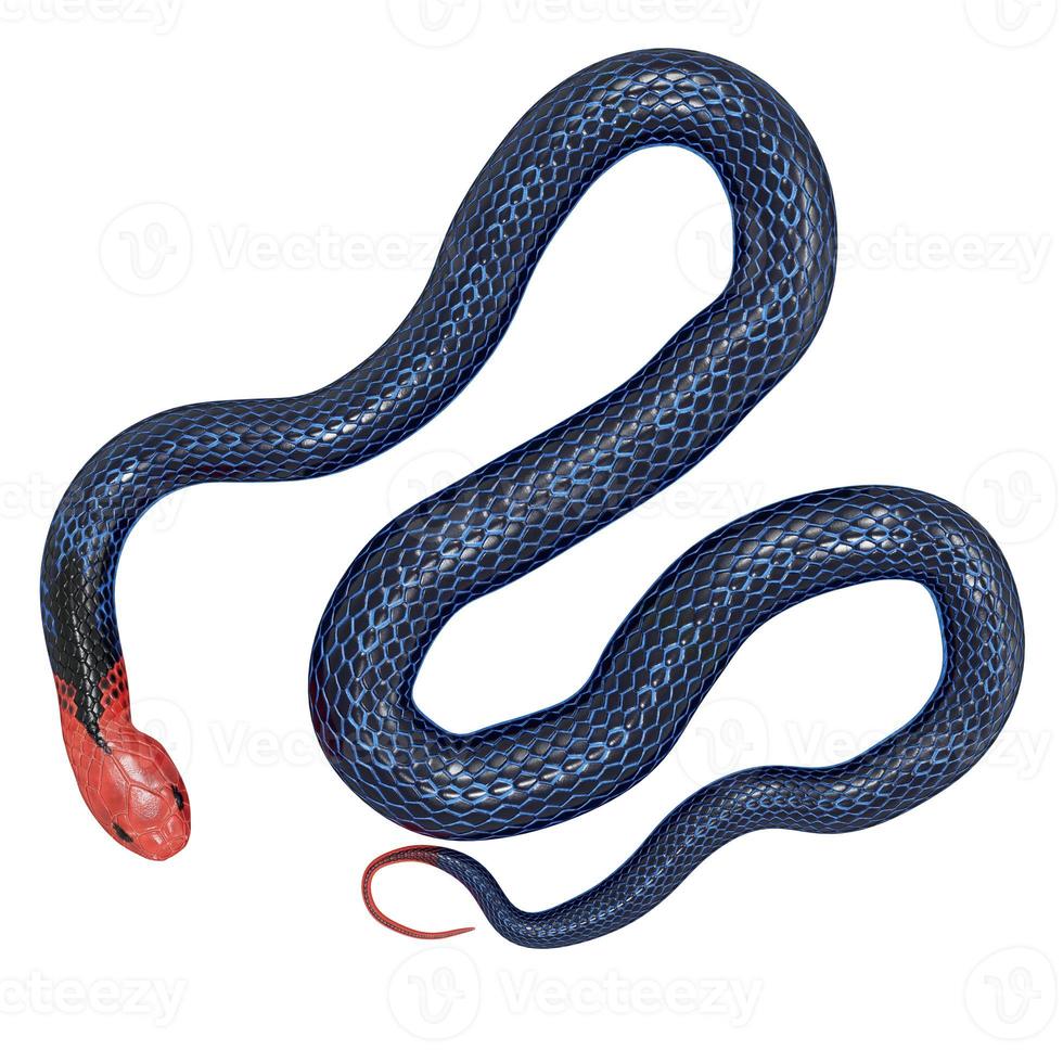 illustration 3d de serpent de corail bleu. photo