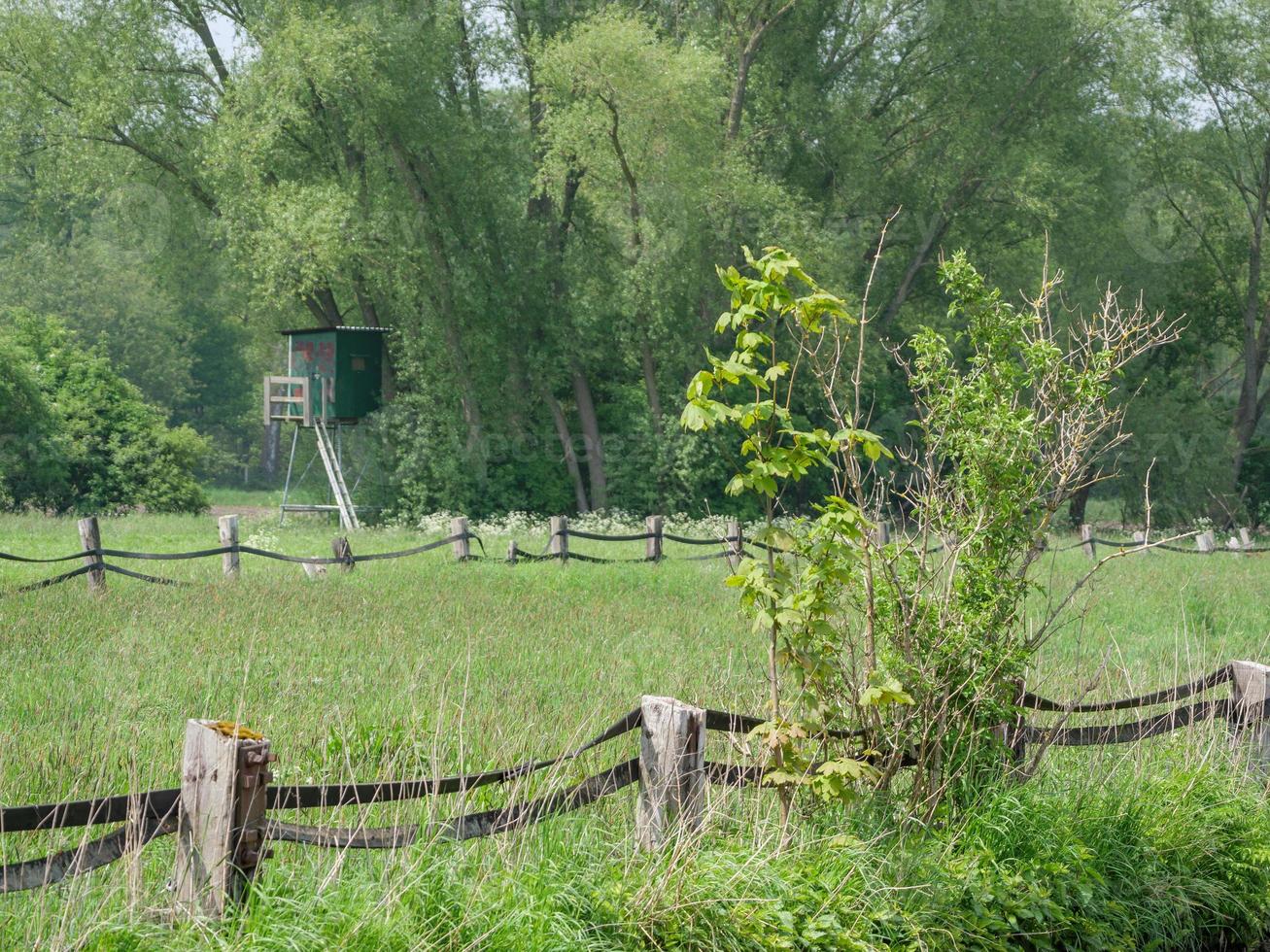 randonnée en westphalie près de duelmen photo