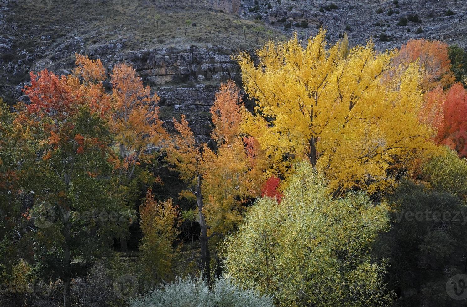 Exposition colorée d'arbres en automne à Albarracin, Espagne photo