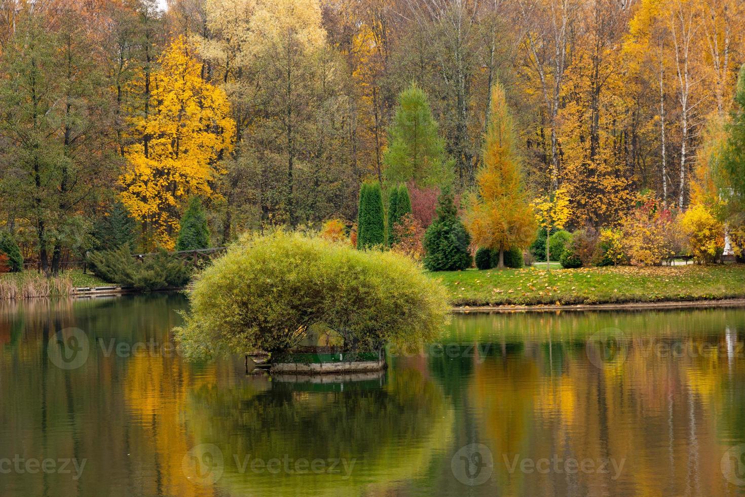 reflets lacustres du feuillage d'automne. le feuillage d'automne coloré se reflète dans les eaux calmes du lac européen. photo