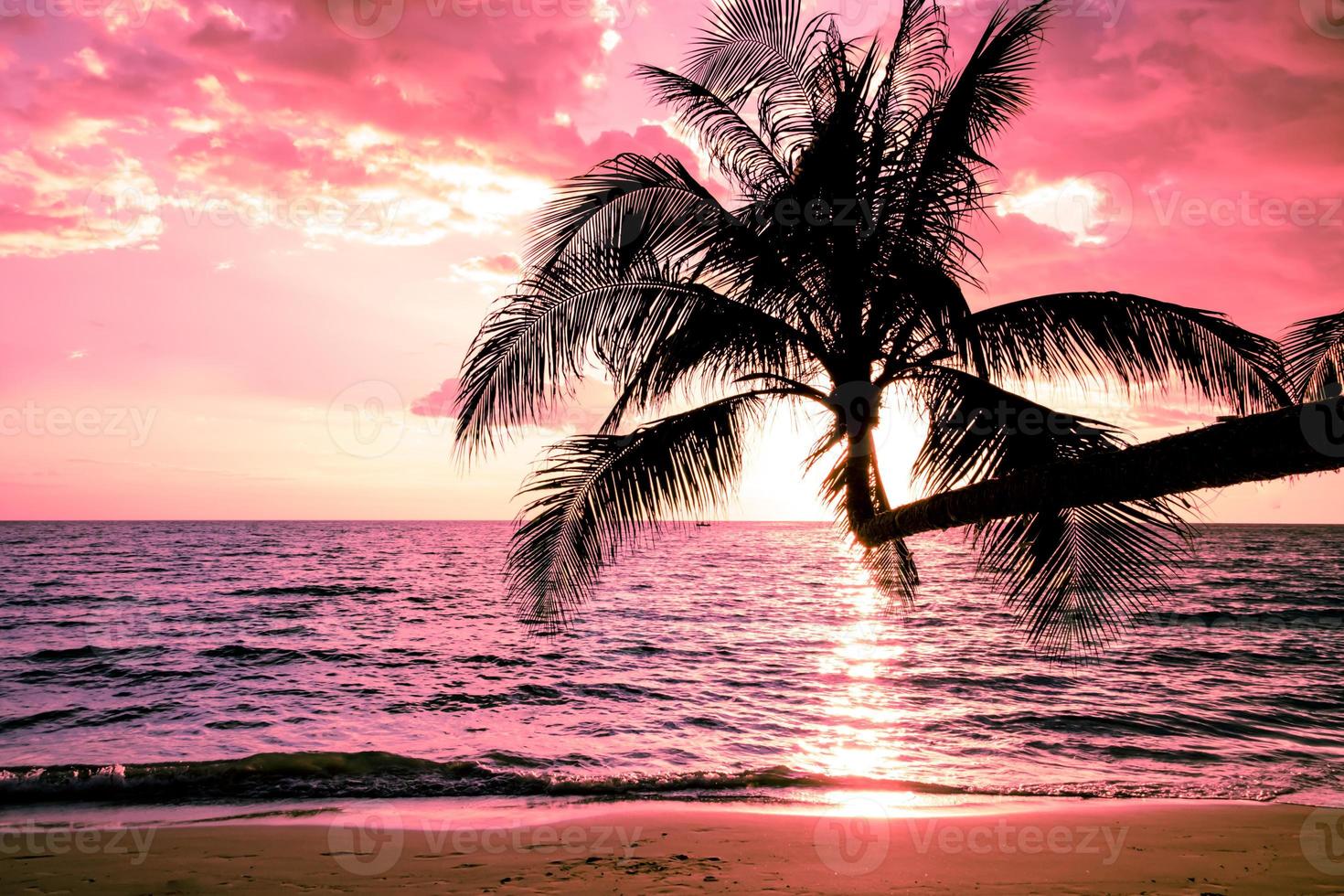 belle plage tropicale au coucher du soleil avec palmier et ciel rose pour les voyages et les vacances en vacances se détendre photo