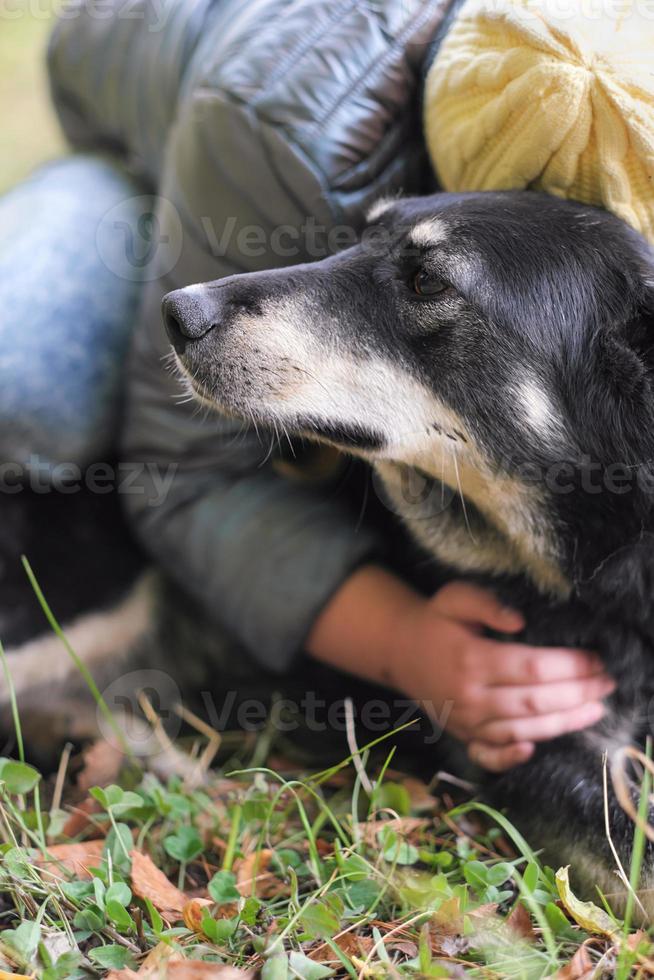 fille embrassant un chien à l'extérieur. propriétaire de chien et de fille étreignant, concept d'amitié et de soins pour animaux de compagnie, vertical photo