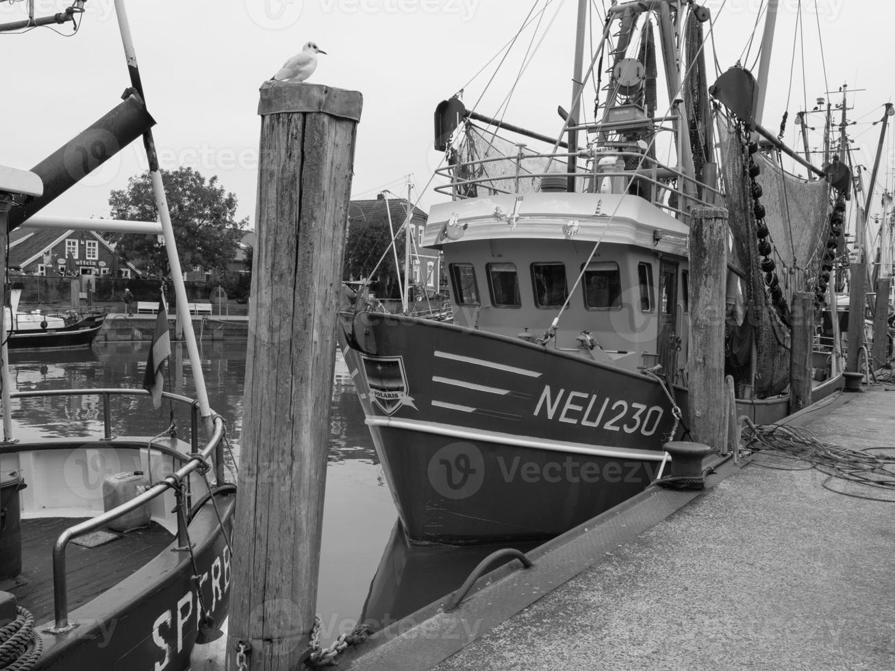 l'île de Spiekeroog photo