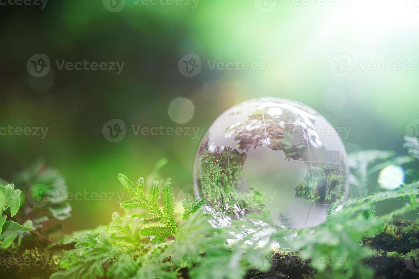 globe planète verre dans la forêt verte avec des lumières de la nature bokeh. journée mondiale de l'environnement. concept pour la conservation de l'environnement, protéger la terre écologique et la vie respectueuse de l'environnement avec espace de copie photo