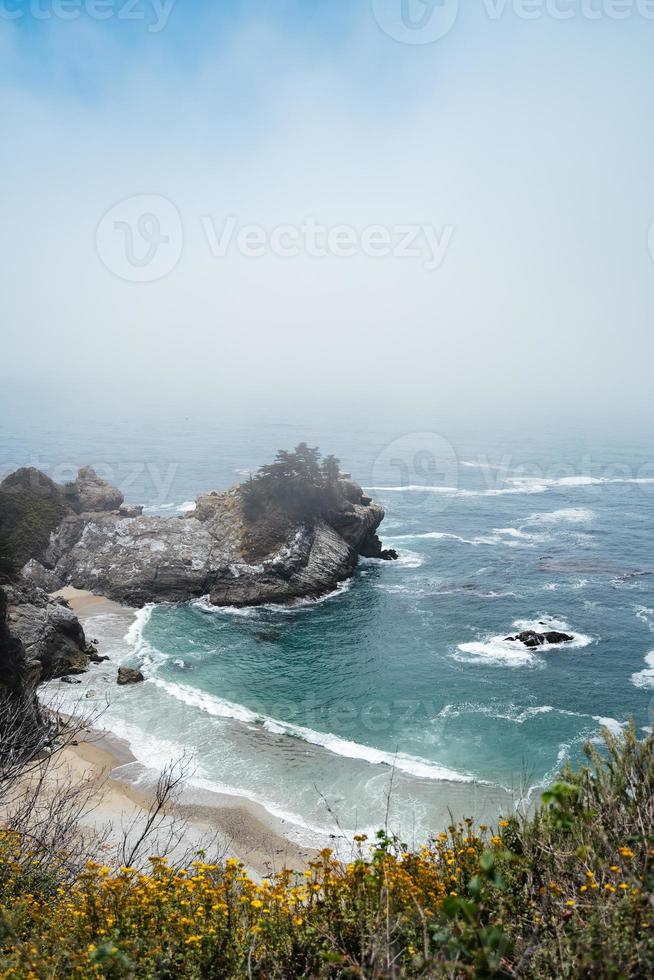 baie de plage de l'océan pacifique avec des arbres photo