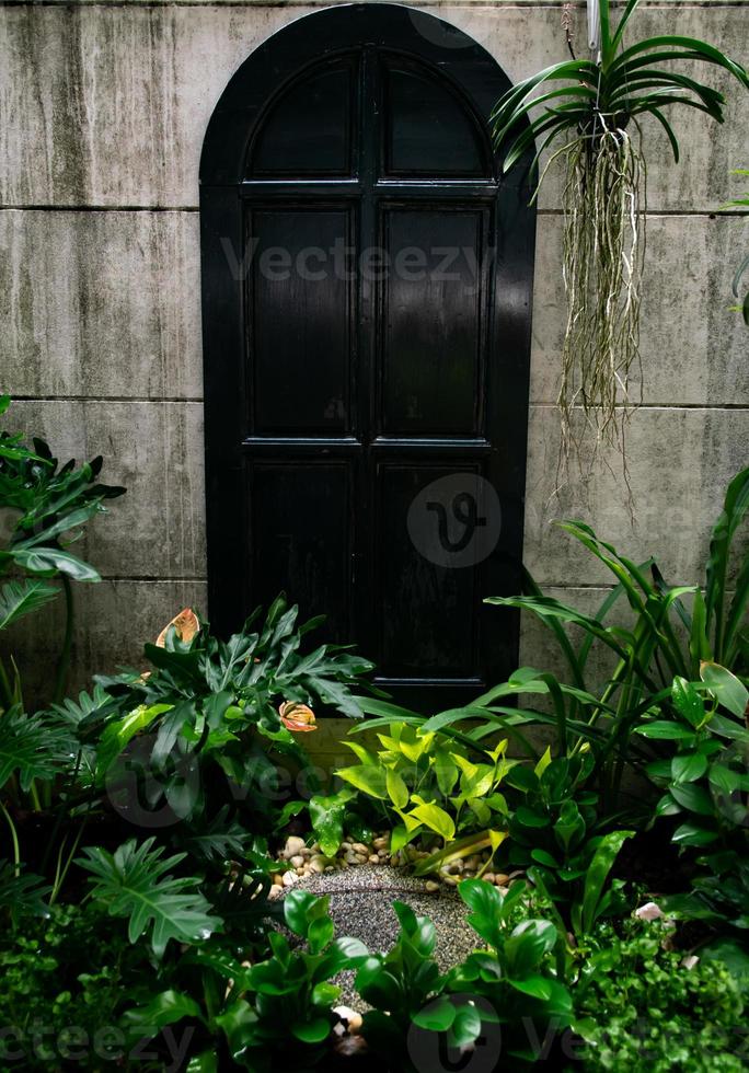 mur de jardin et porte antique, l'entrée est pleine de plantes, se sentir au milieu de la nature dans la forêt tropicale, concept de thérapie de la nature. photo