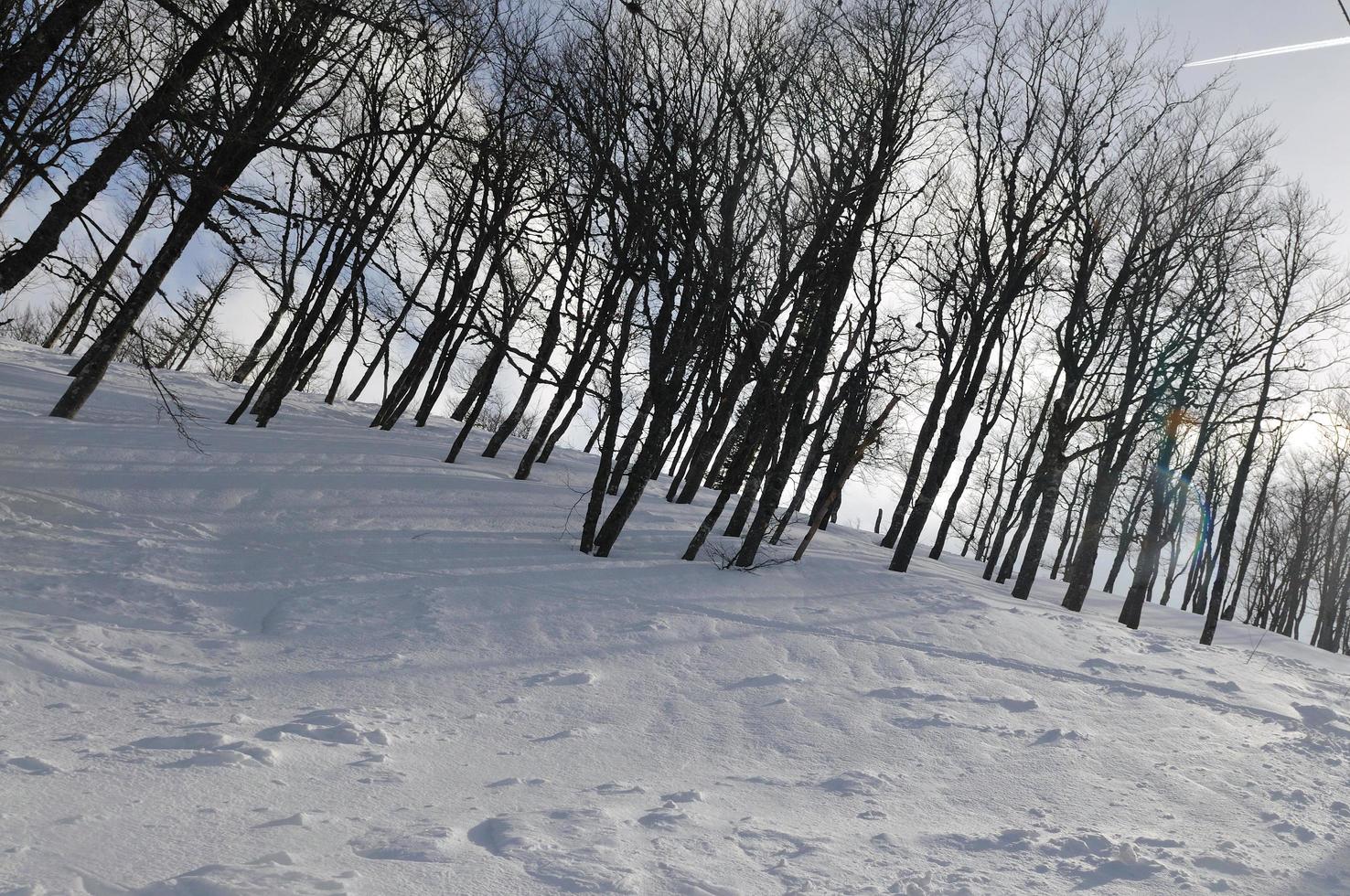 paysage d'hiver photo