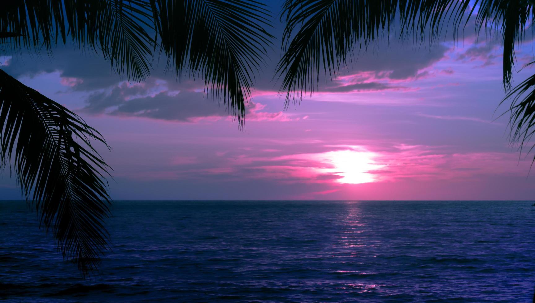 silhouettes de palmiers et ciel nuageux au coucher du soleil sur une plage tropicale avec fond de ciel rose pour les voyages et les vacances photo