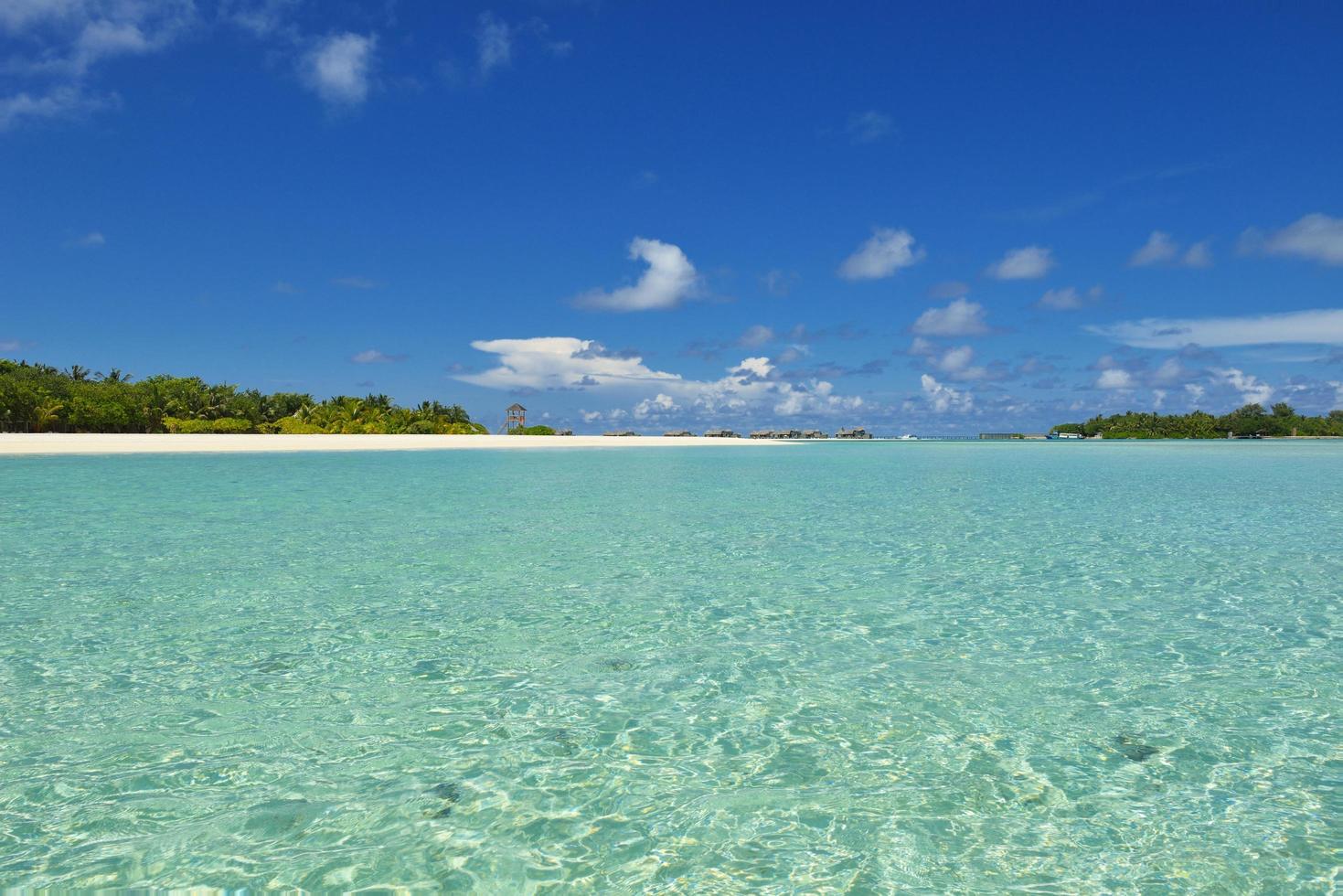 vue sur la plage tropicale photo