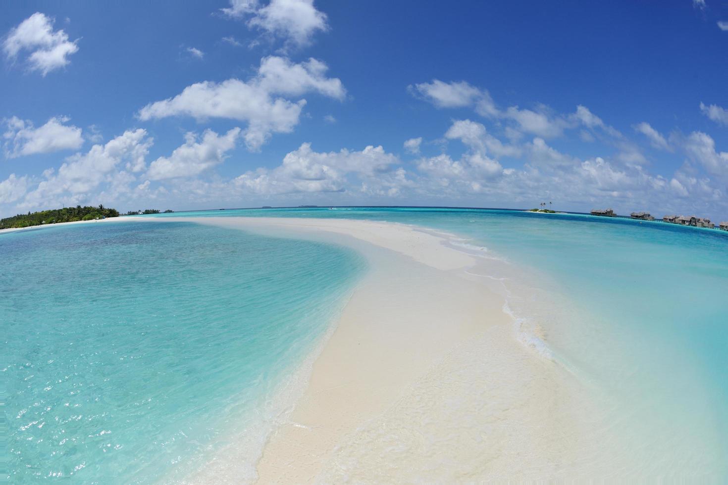 vue sur la plage tropicale photo