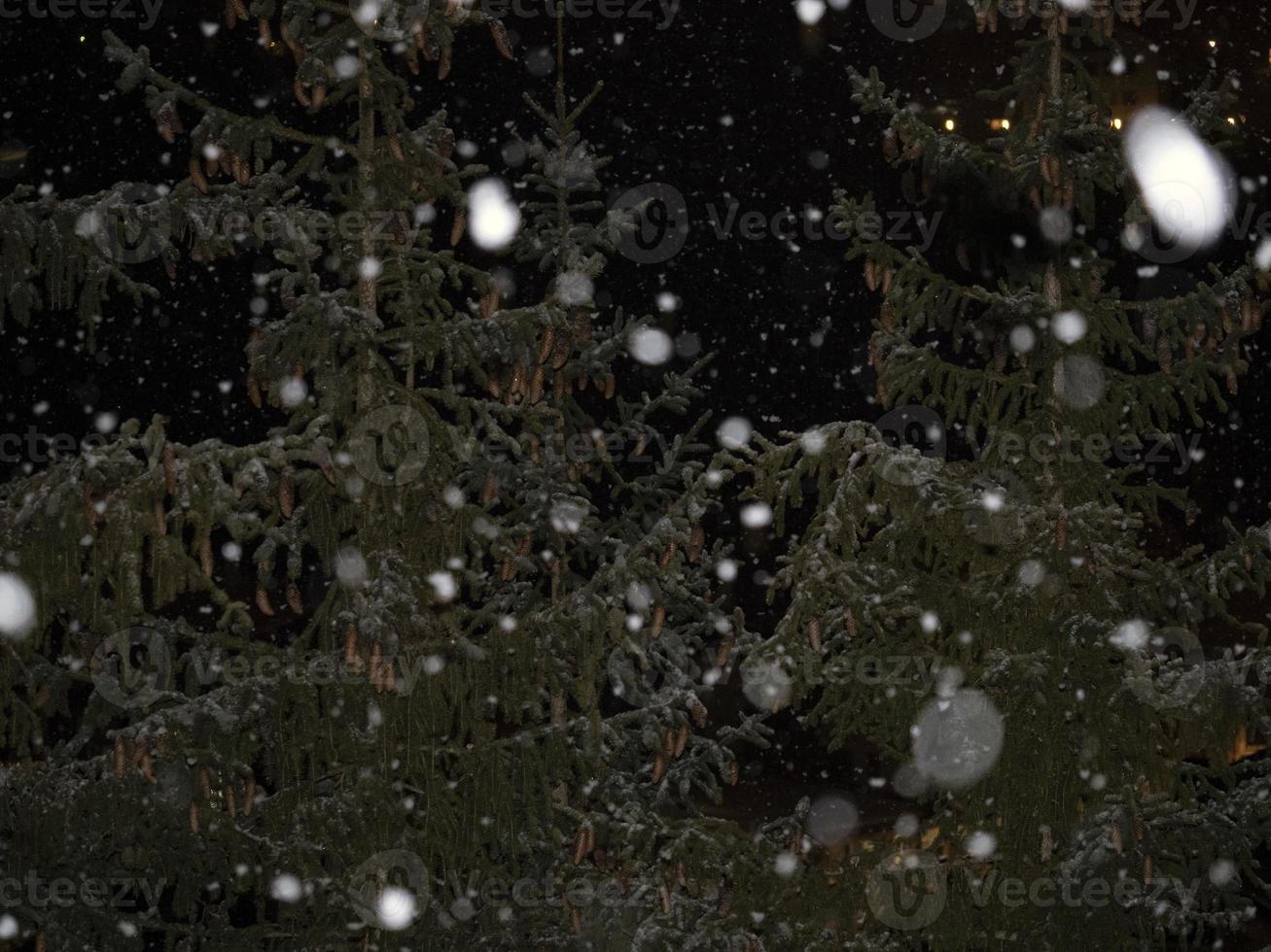 il neige la nuit dans les dolomites photo