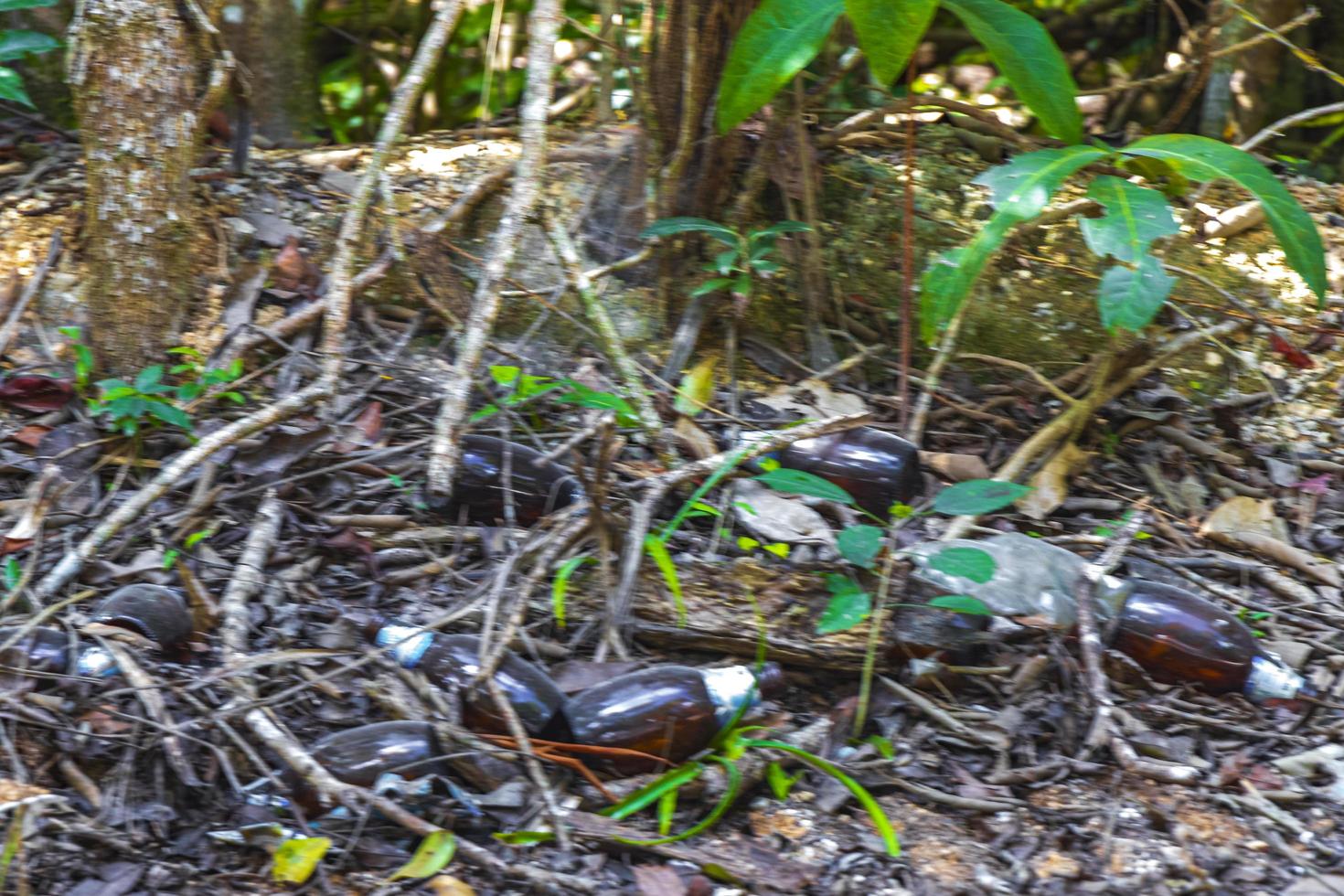 poubelle déchets déchets dans la jungle au mexique. photo