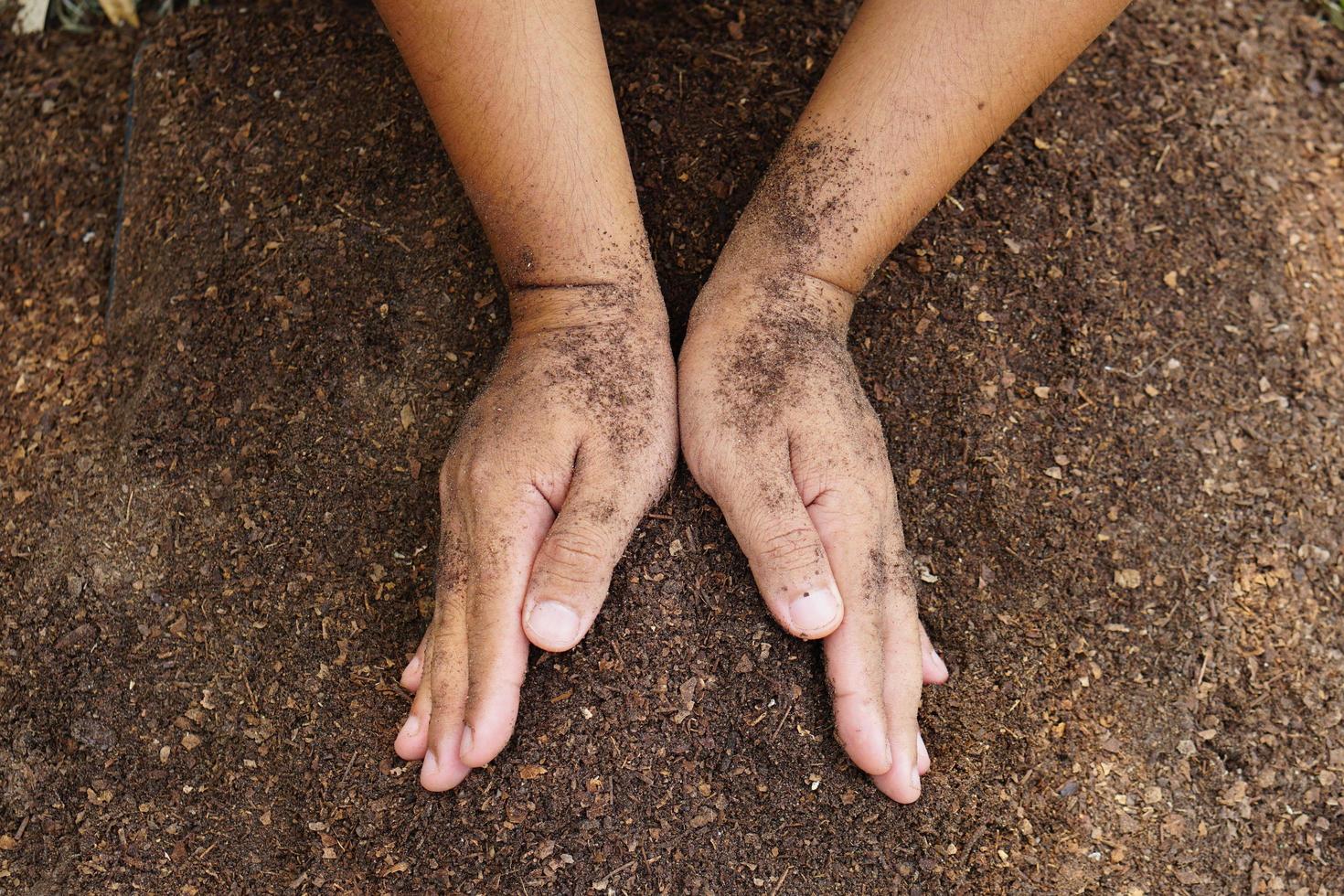 les agriculteurs mélangent le sol pour faire pousser des cultures. fournir les minéraux dont les plantes ont besoin, il pousse vite et fort. photo