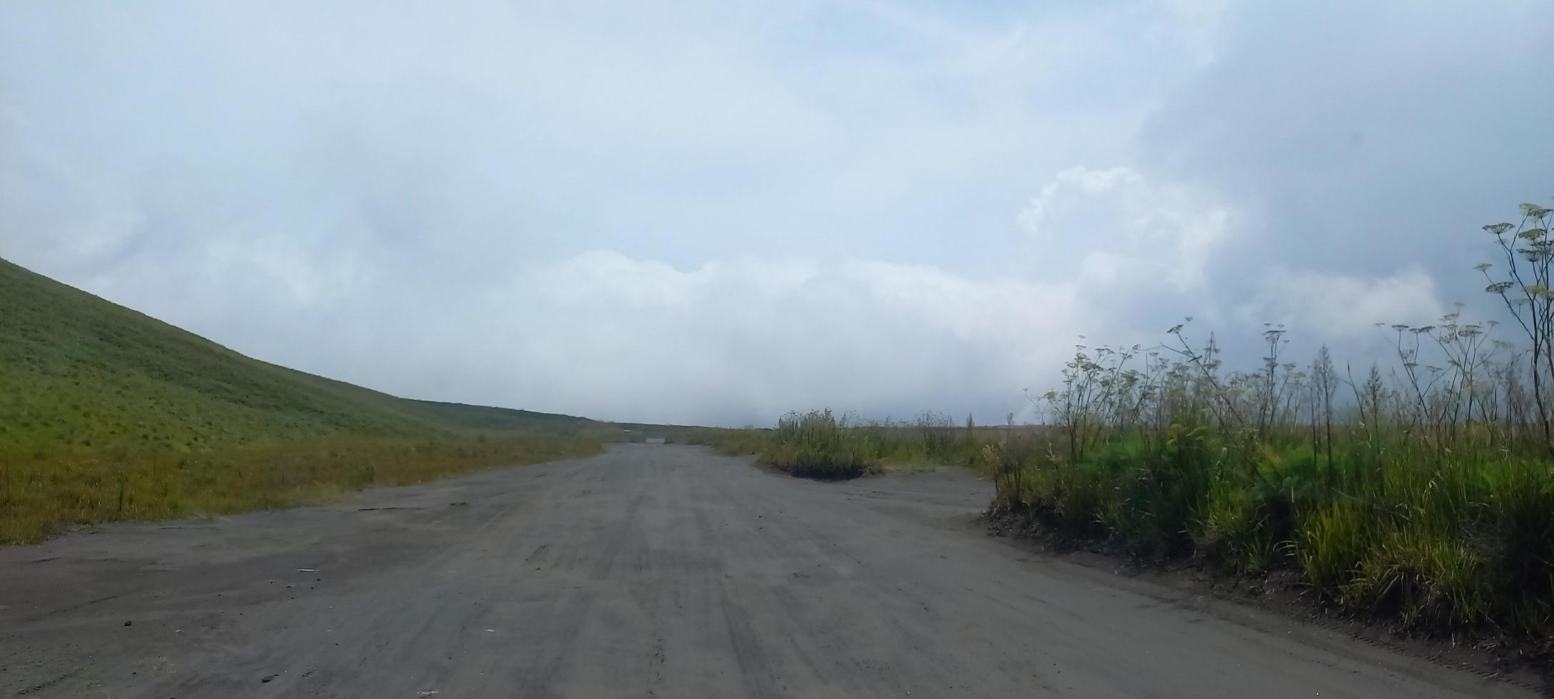 melihat keindahan padang rumput di atas mobil hartop photo