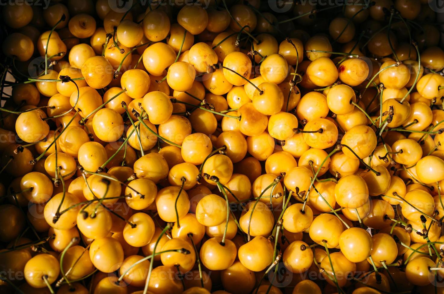 cerises jaunes fraîches sur un étal du marché fermier photo