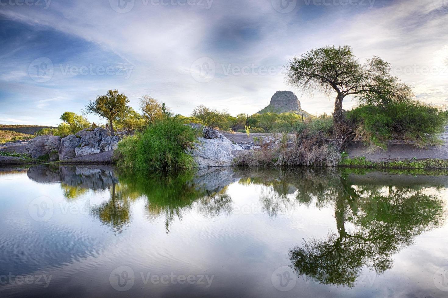 vue sur le paysage des montagnes et des oasis du désert de baja california photo