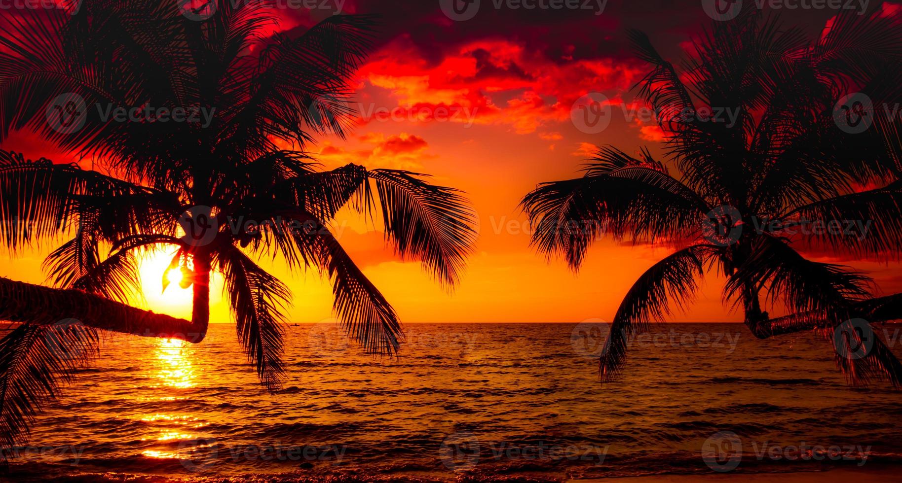 belle plage tropicale au coucher du soleil avec palmier et ciel rose pour les voyages et les vacances en vacances se détendre photo