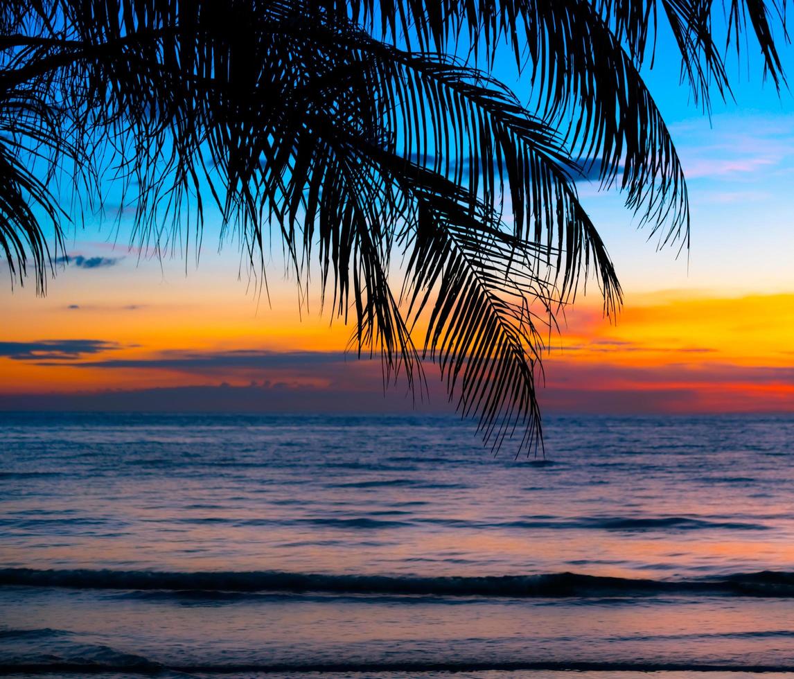 belle plage tropicale au coucher du soleil avec palmier et ciel bleu pour les voyages et les vacances en vacances se détendre photo