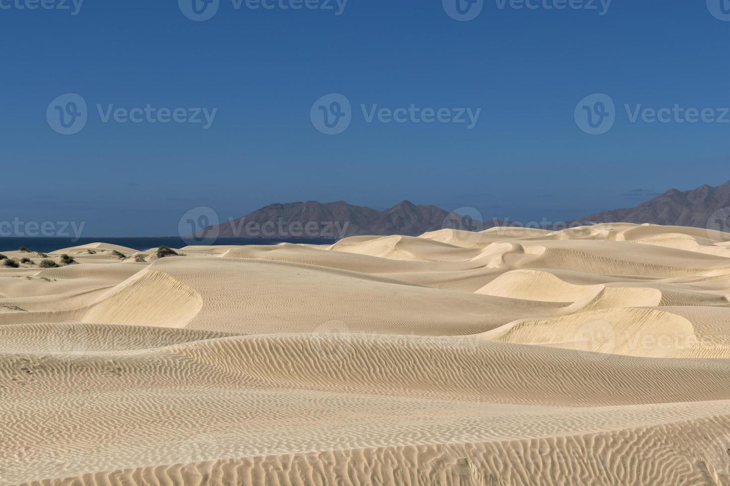 dunes de sable du désert de baja california sur au coucher du soleil au mexique photo