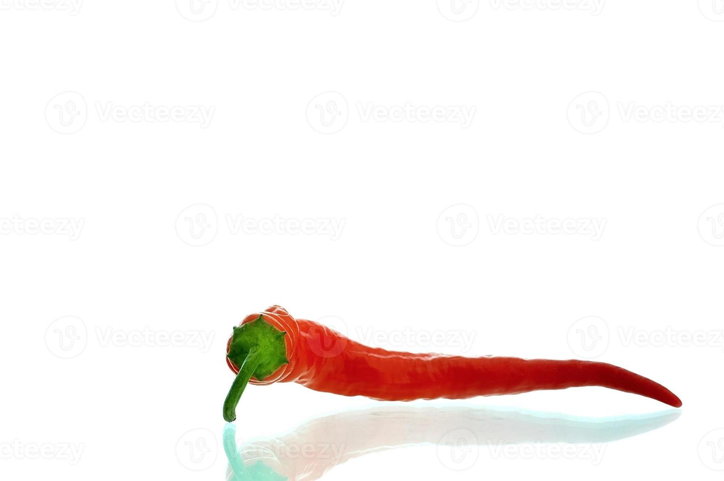 piment rouge photo