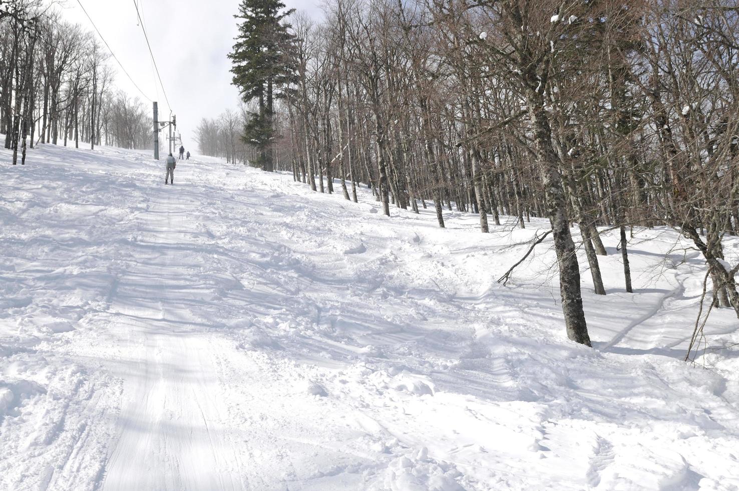 paysage d'hiver photo