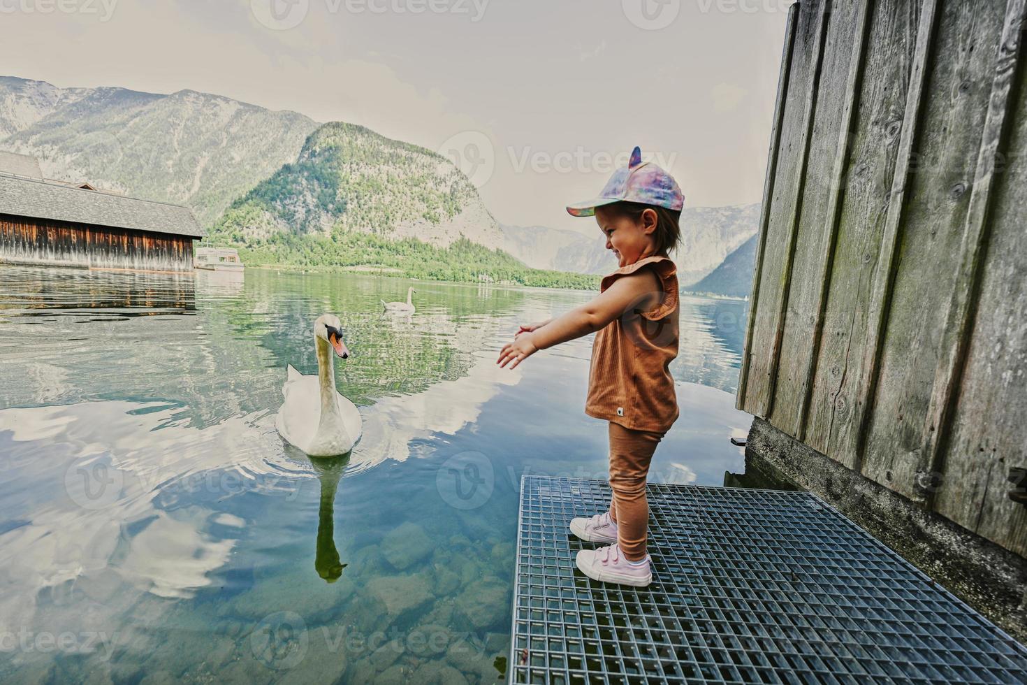 bébé fille nourrir cygne au lac des alpes autrichiennes à hallstatt, autriche. photo